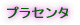 �v���t�B�[��